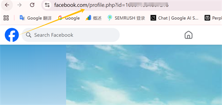 веза фацебоок профила